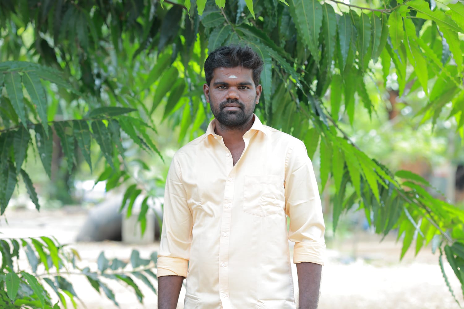 Groom Image